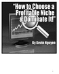 Thumbnail Profitable Niche Domination